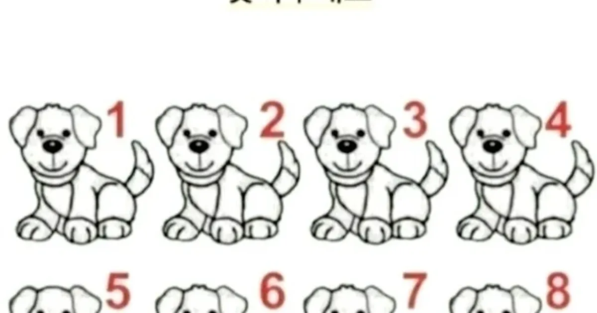 현재 불타고 있다는 치매예방 틀린그림찾기