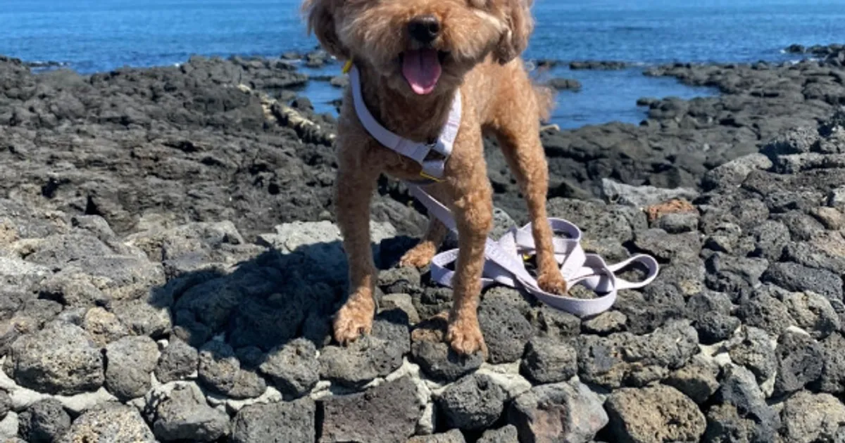 김구찌 여름시리즈 2탄