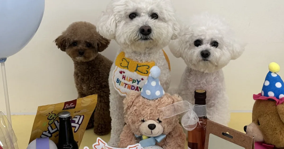 생일파티에 초대받은 모카
