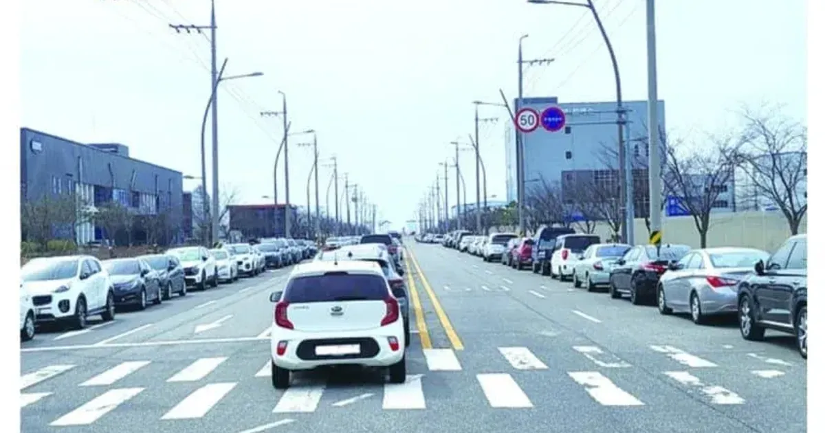 주차된 자동차로 회사 판단하는 법 		,,