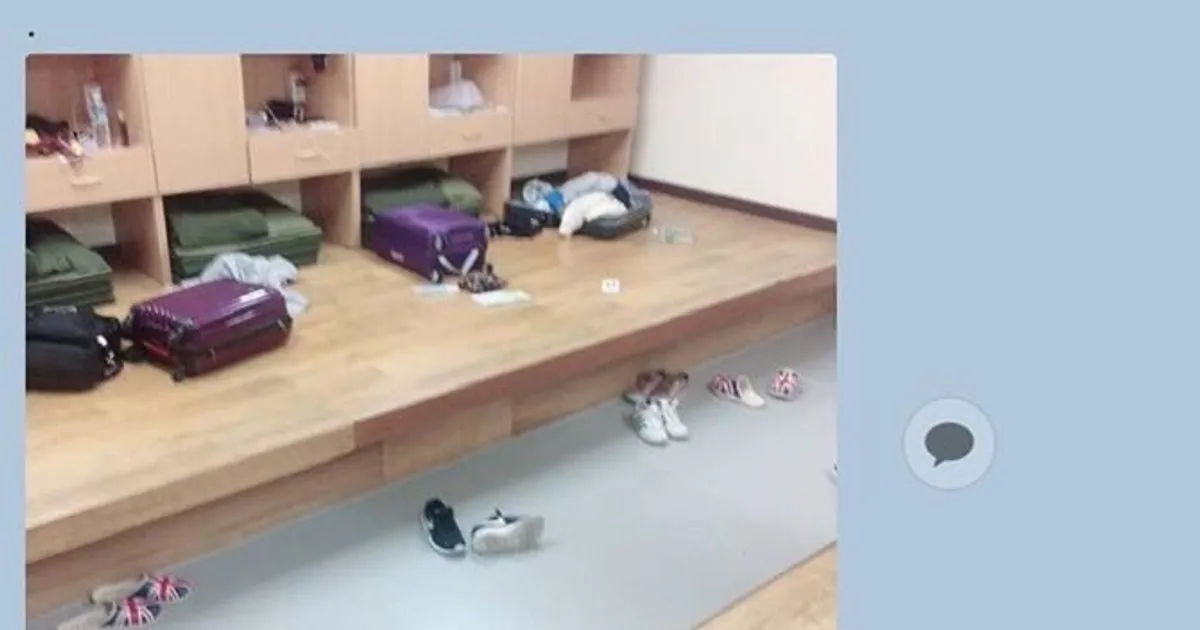 수학여행간 여동생에게서 온 카톡		,,