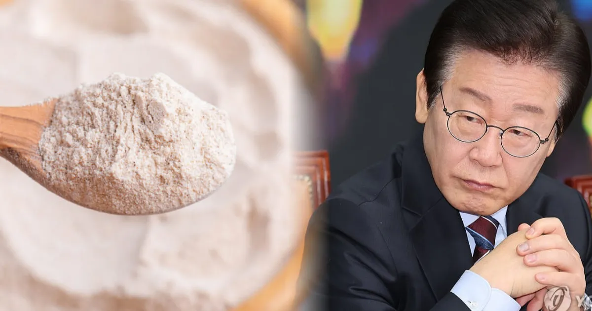 "공권력 총동원" 이재명 대통령 경고 통했나? '밀가루값' 전격 인하(+물가안정대책)