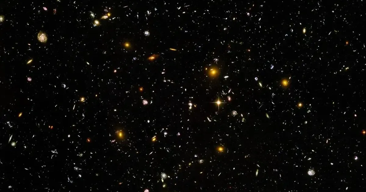 찍먹해보고 제일 많이 실망한다는 취미