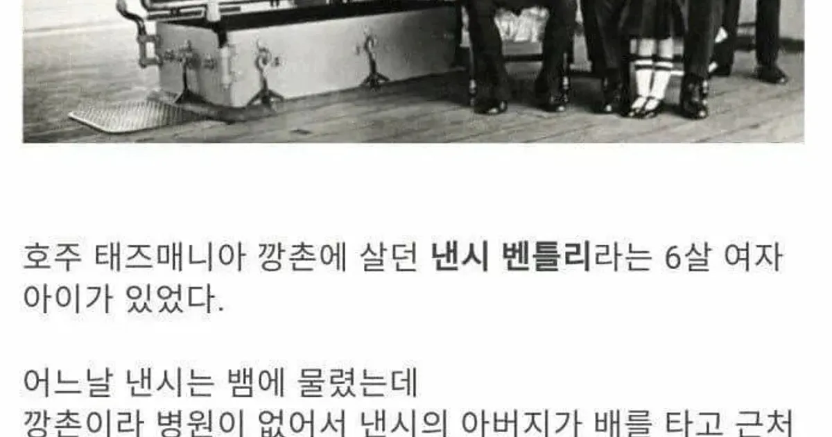 6살 여자아이를 강제 입대시킨 호주 왕립해군