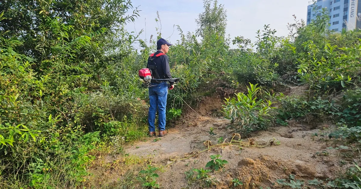 "벌초왔다가 파헤쳐진 조부 묘소 본 손자... 너무 황당해 손 떨려" 무슨 일?