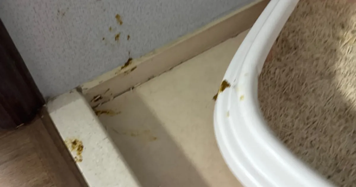 [챌린지] 시각, 후각 파괴