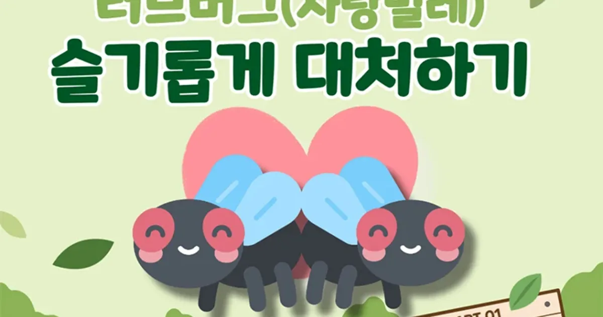 서울 전역에 발생한 '러브버그' 3가지 대처법