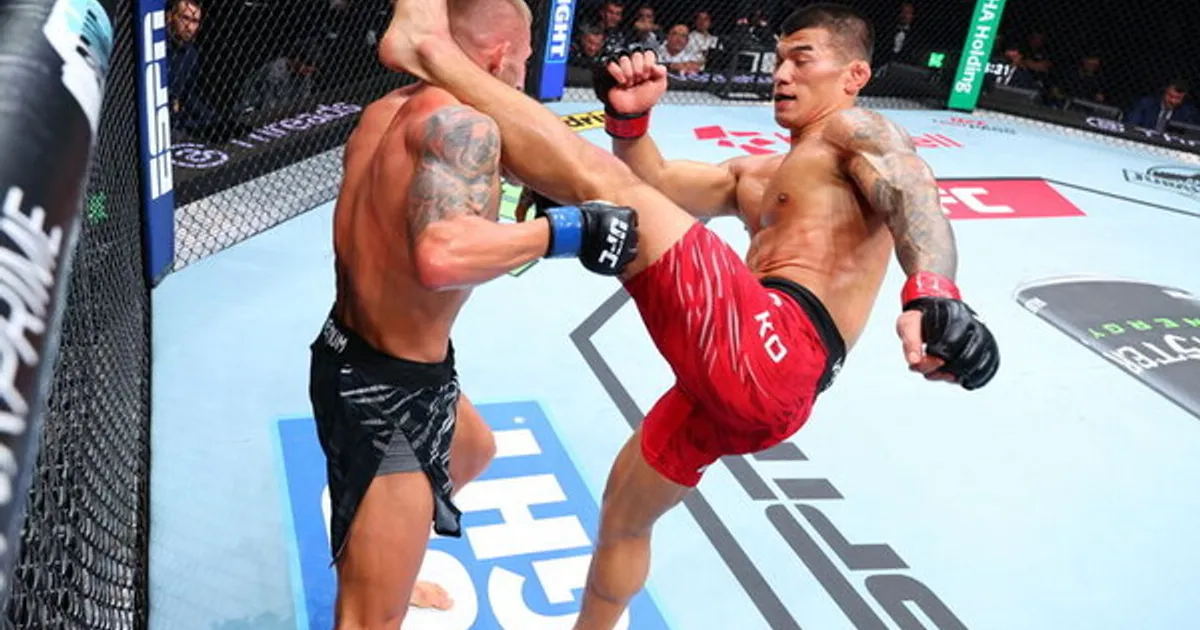 고석현, UFC 데뷔전서 언더독의 반란…박준용도 승리