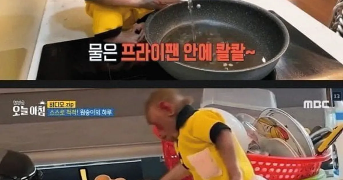 원숭이의 지능 수준 ㄷ.