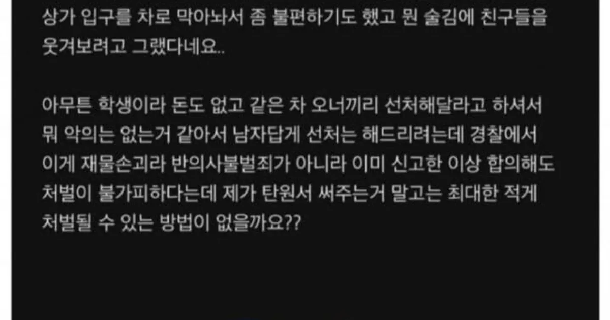 차 테러 당한 호구