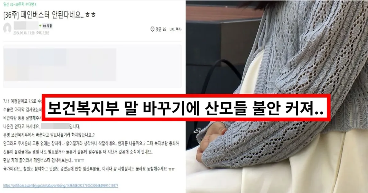 페인버스터 무통주사 약물 효과 본 '산모' 많은데.. '비급여·금지' 외치는 보건복지부