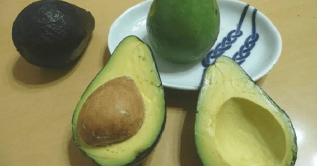 “지방 덩어리 아보카도" 매일 1개씩 먹었더니 '저절로 뱃살이 빠지기 시작했다'