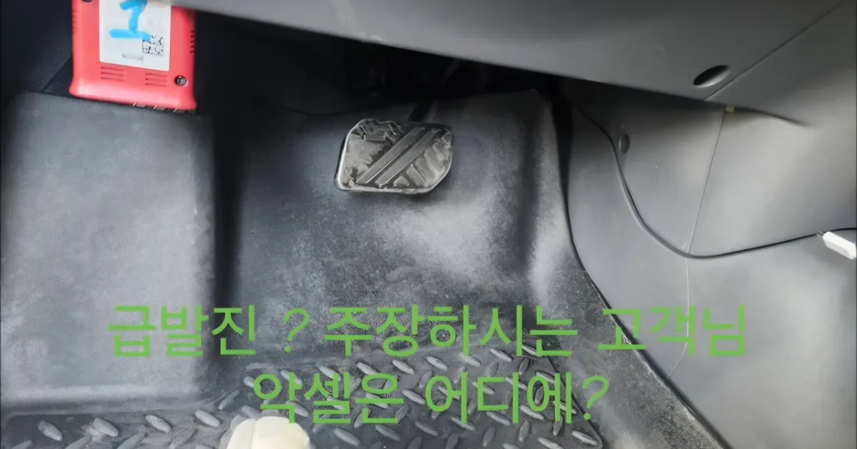 급발진 때문에 억울한 사람		,,