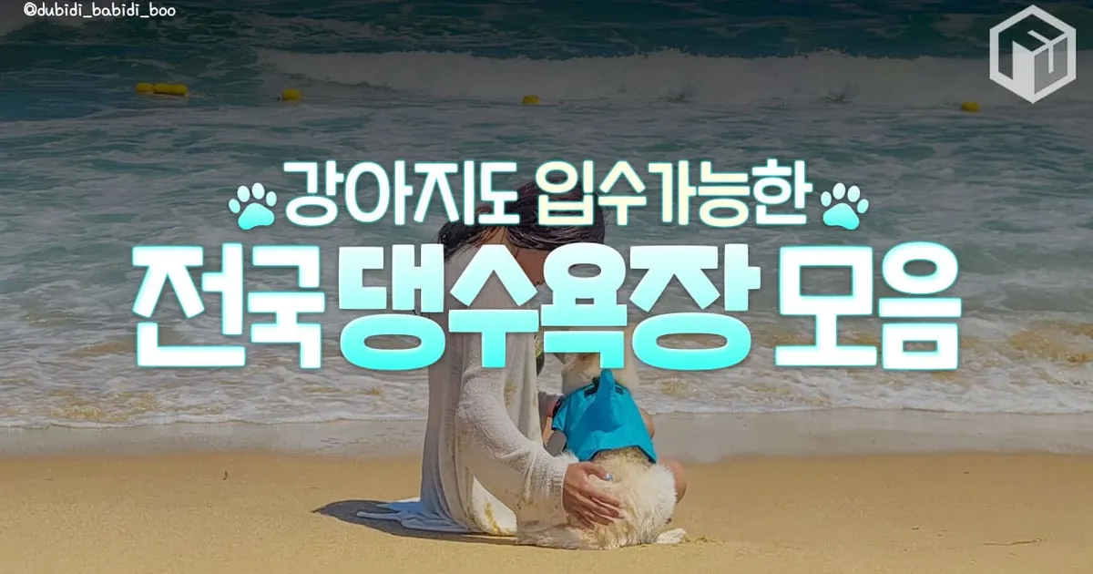 2025 강아지도 입수가능한 애견동반 해수욕장 총정리 (+일정, 요금)