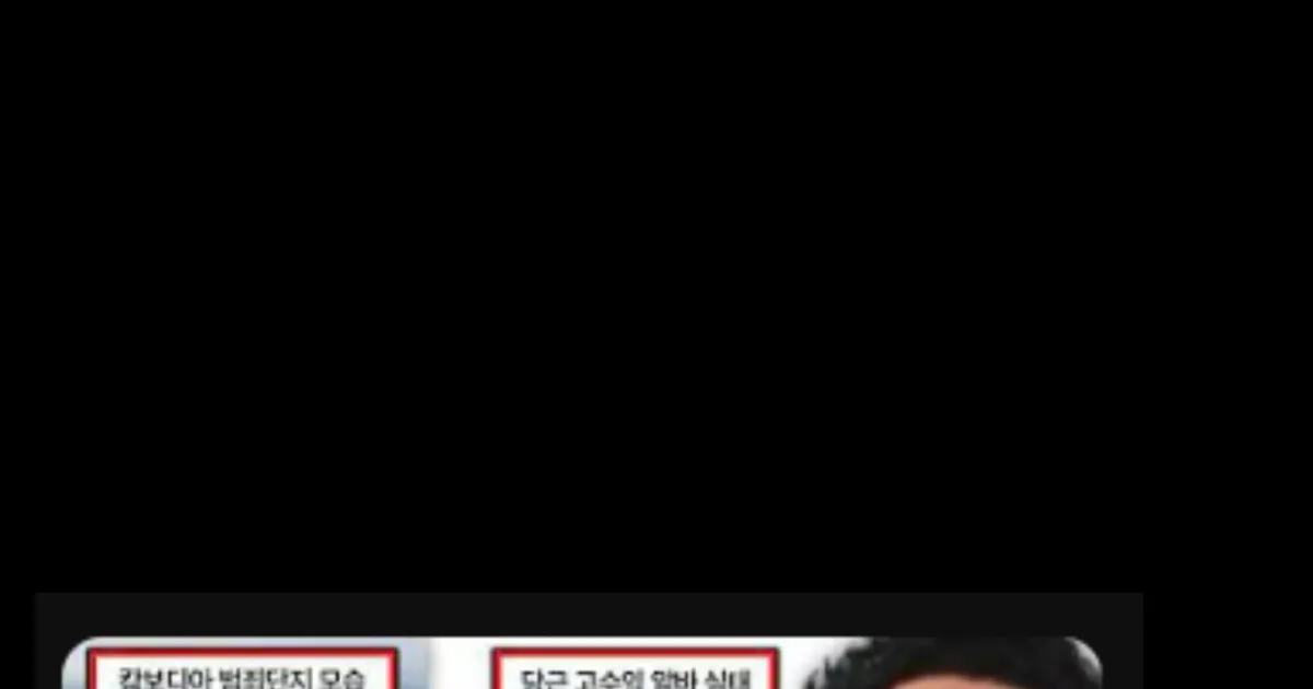 캄보디아 사태가 진짜 심각한 이유