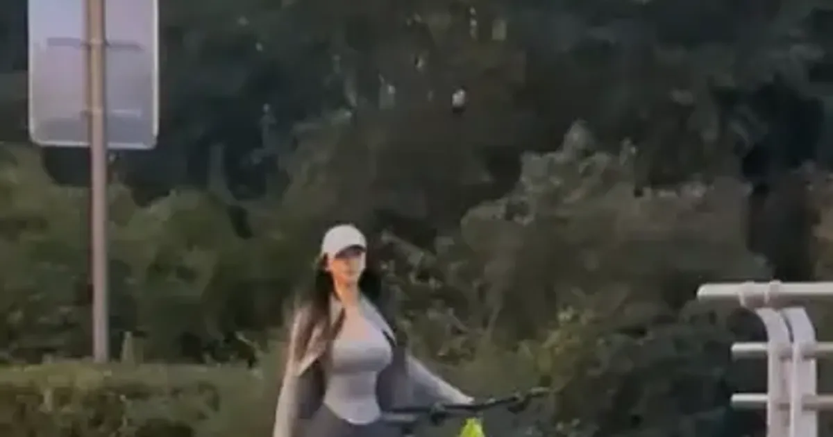 자전거 동호회가 동물의 왕국인 이유