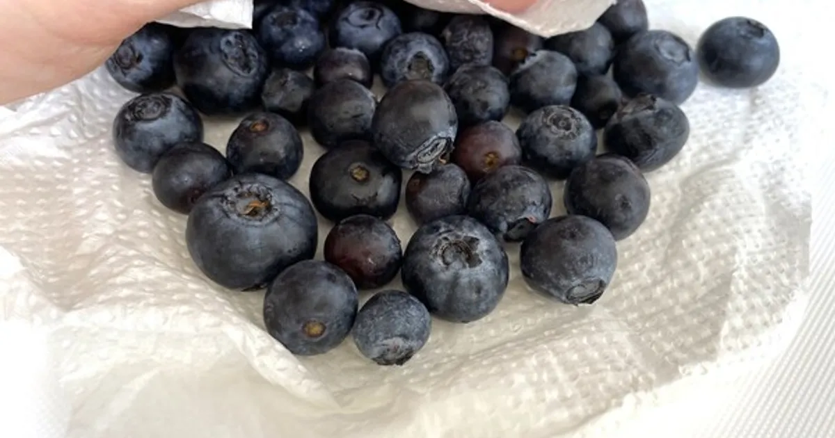 “먹기만 해도 남들보다 노화 늦추는 음식” 3위 블루베리, 2위 토마토, 놀라운 1위는?