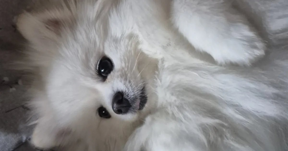 아침부터 심장 맞고 시작하세요💘