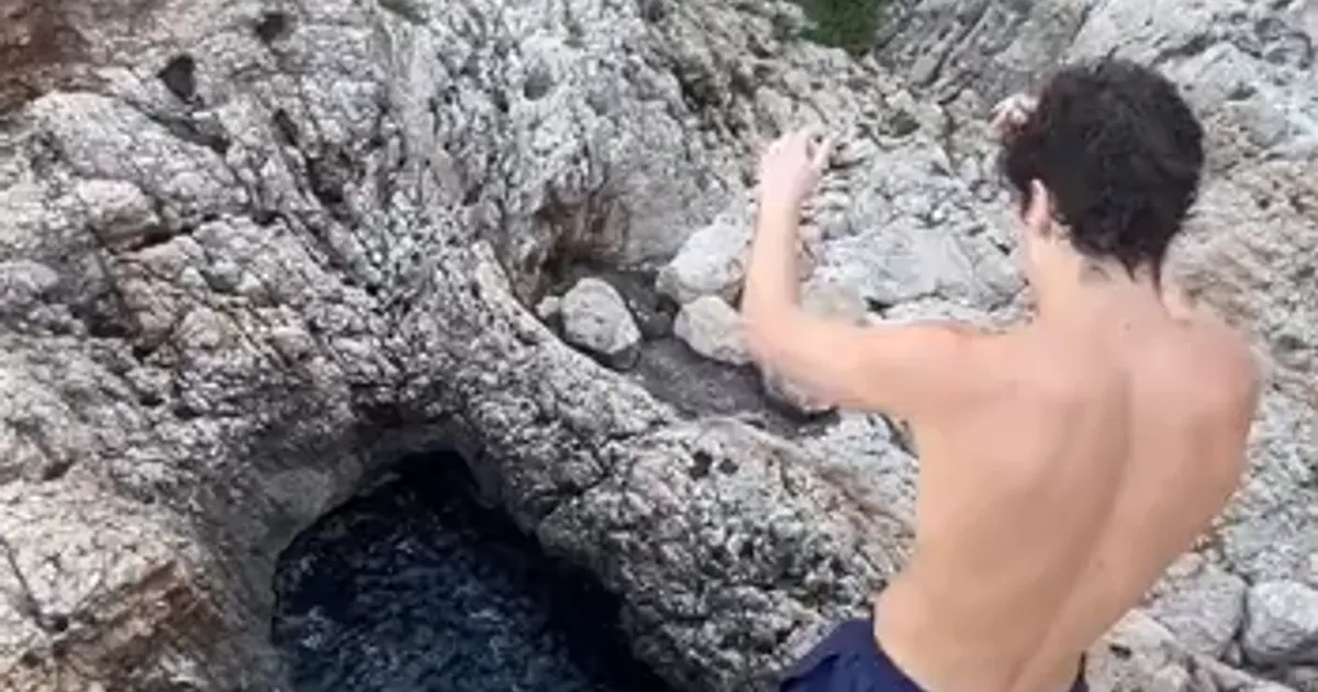 도파민에 절여진 형