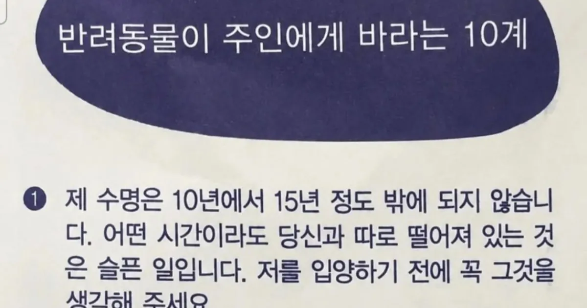 반려동물 키우는 사람 오열하게 만드는 어느 병원 약봉투
