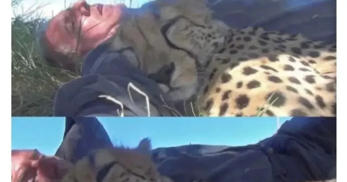 평생 잊지못할 낮잠을 잔 남자,,