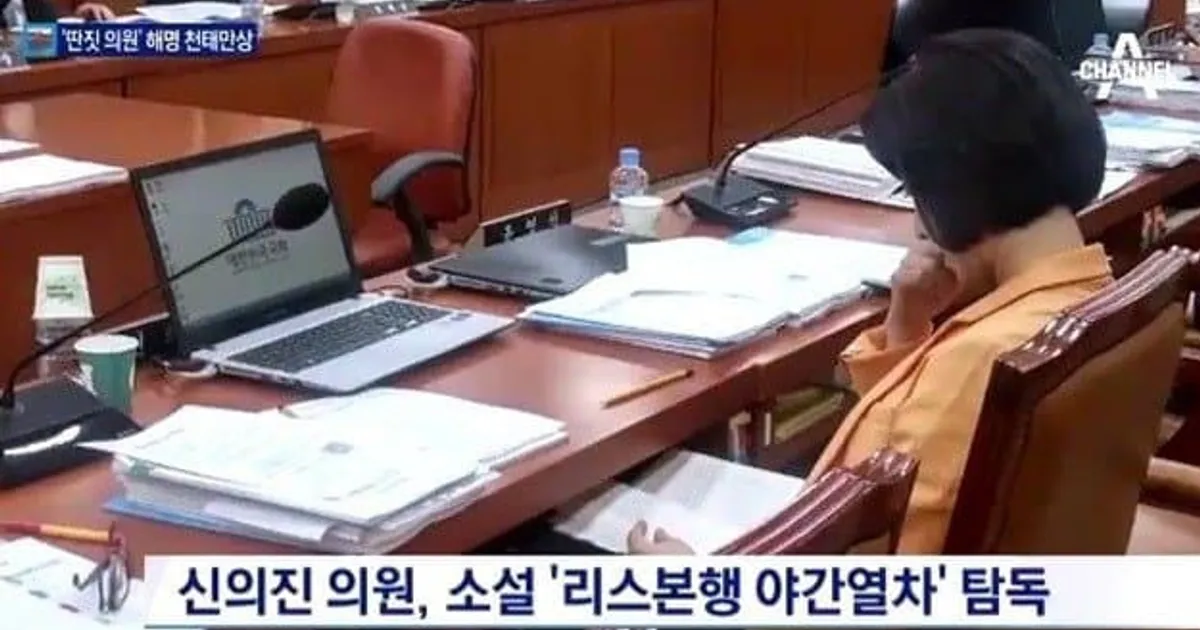 국정감사 딴짓 모음