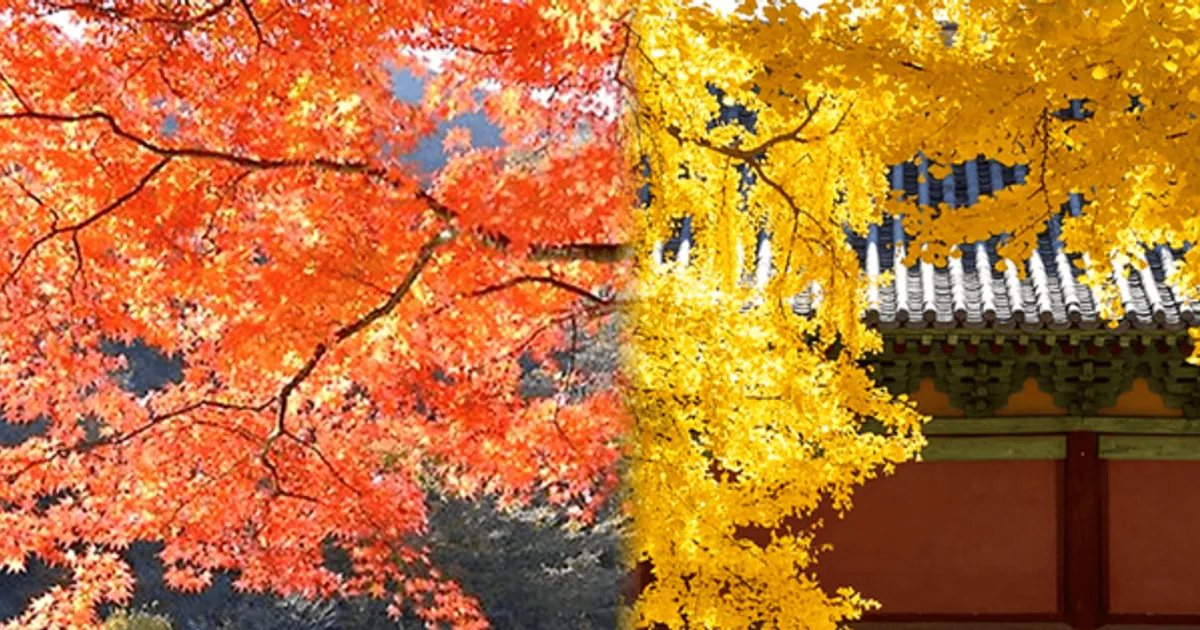 "여긴 잘 모를걸?"...아직 잘 알려지지 않은 단풍 여행지 BEST 4 추천