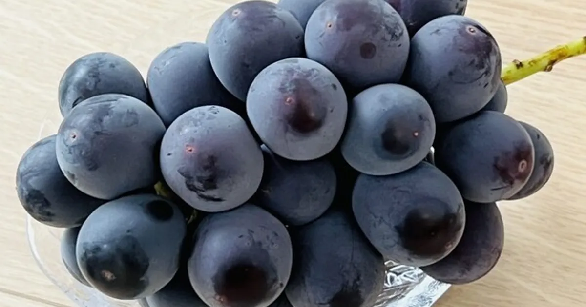 "이 과일" 껍질채 매일 먹으면 치매 예방에 효과적입니다