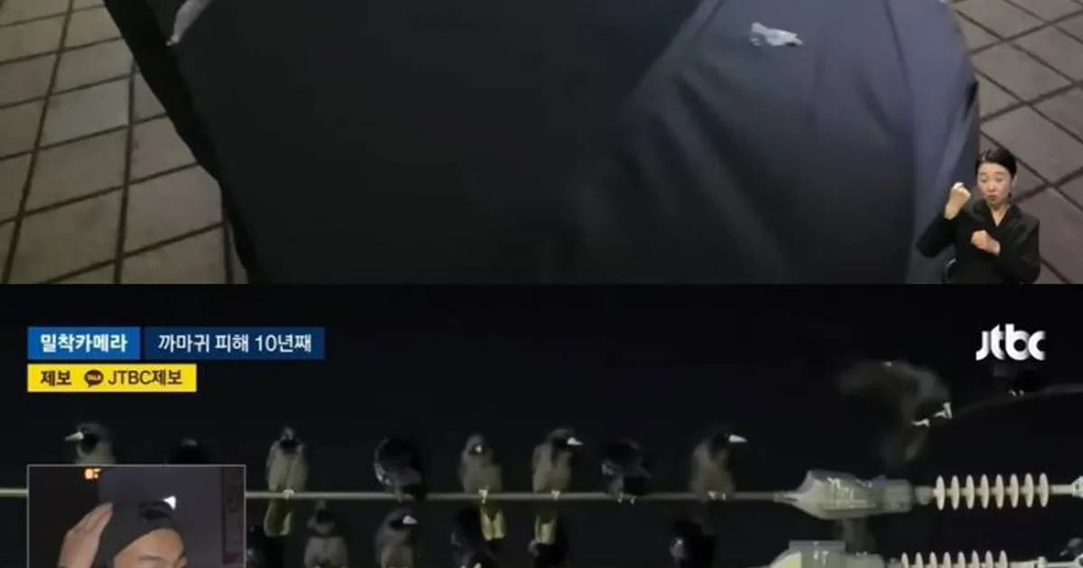 현재 충격적이라는 수원 똥 테러