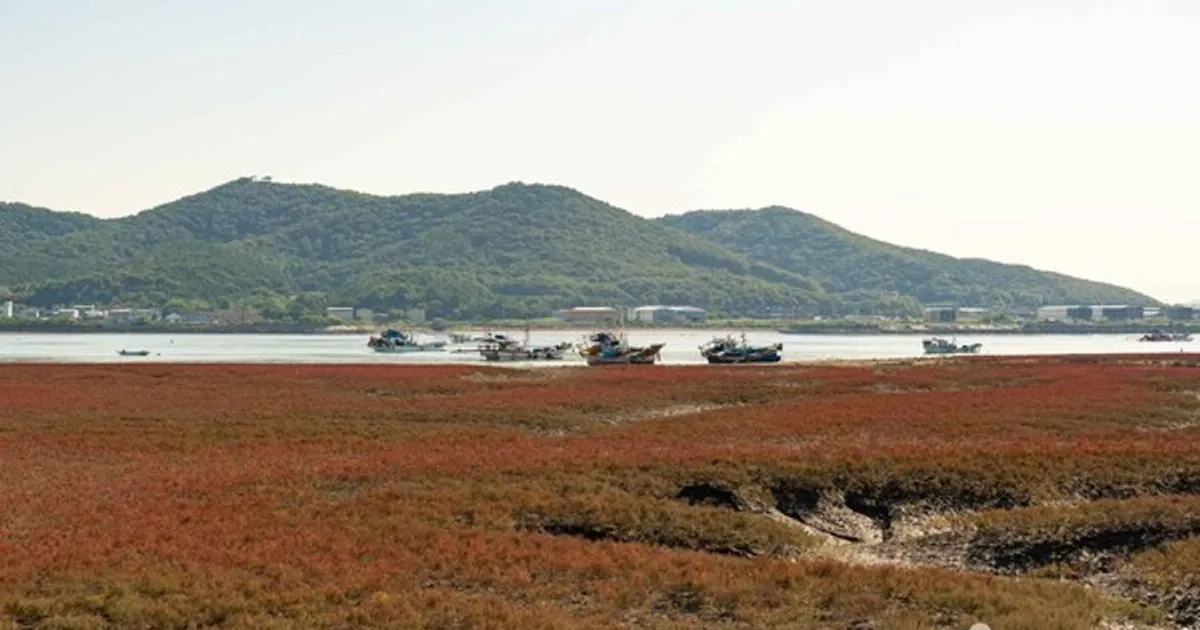 늦가을 가볼 만한 곳, 인천 강화도 붉게 물드는 노을과 오션 뷰 카페 그리고 고즈넉한 산사까지