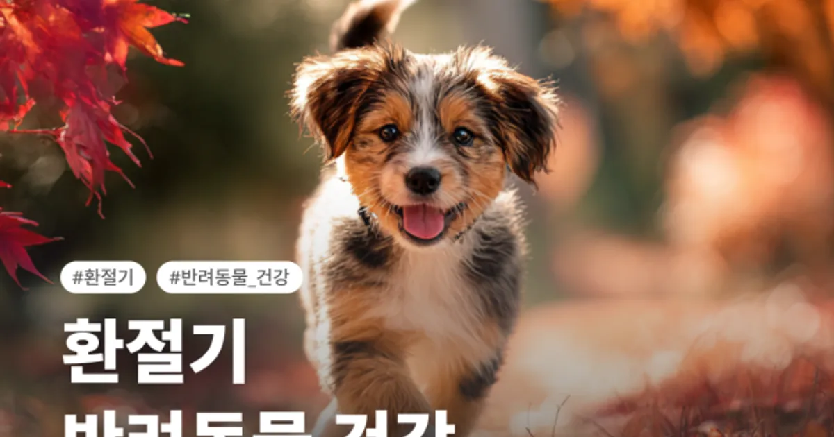 🍁쓰담 카드뉴스 환절기 위생관리! 나는 잘 하고 있을까?