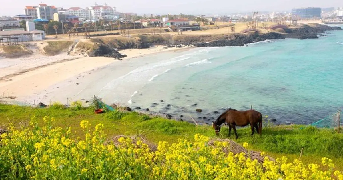 제주도 동쪽 어디 갈까 자연·체험 명소 정리