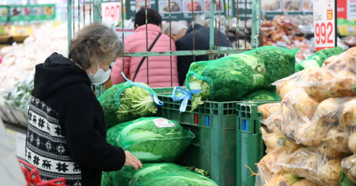 무는 하락·배추는 반등…김장재료 가격 엇갈려