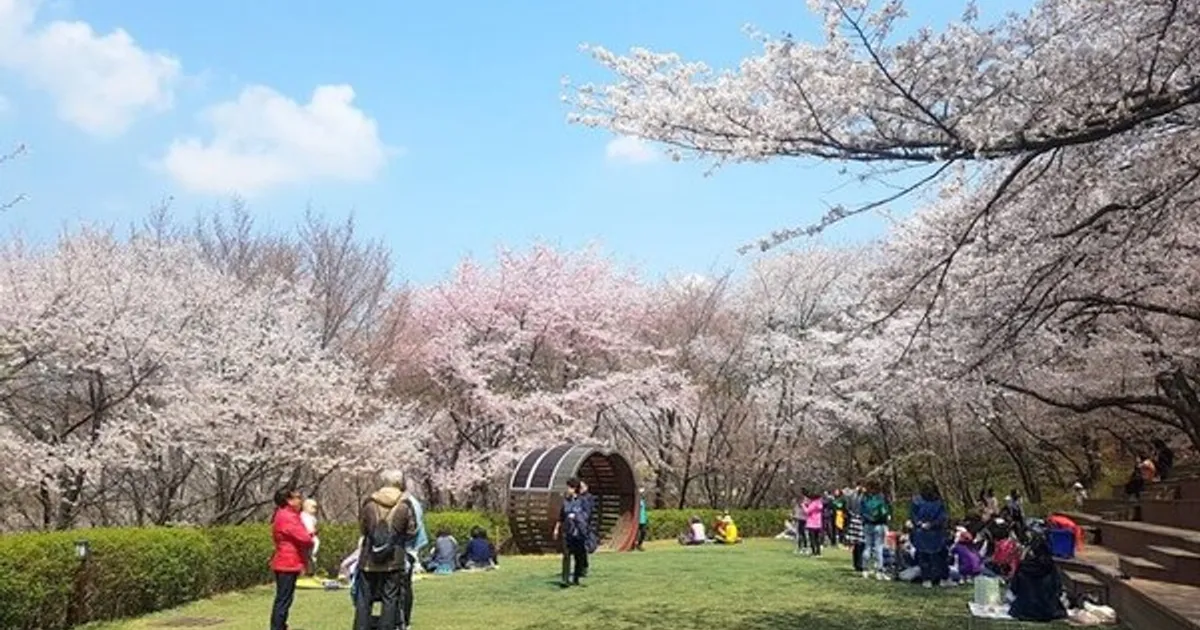 서대문구 '안산 잔디마당' 숲속 공공예식장으로 개방