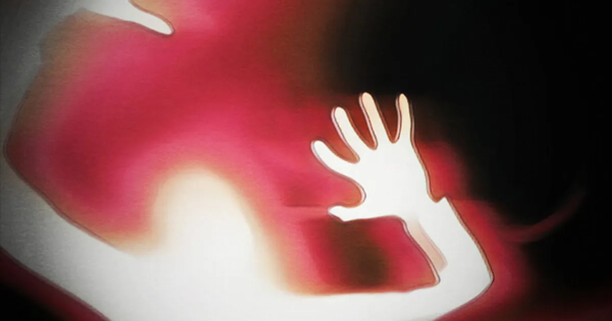 "아빠한테 성폭행당했어요" 허위 글 올린 30대 딸 실형