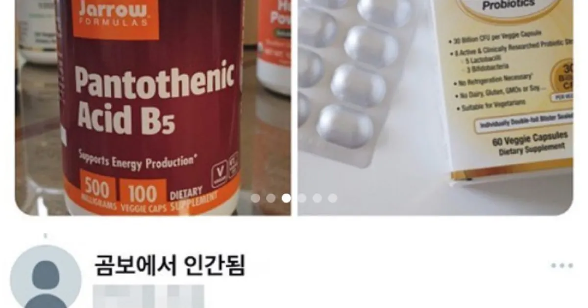 13년 곰보빵이 사람된 썰