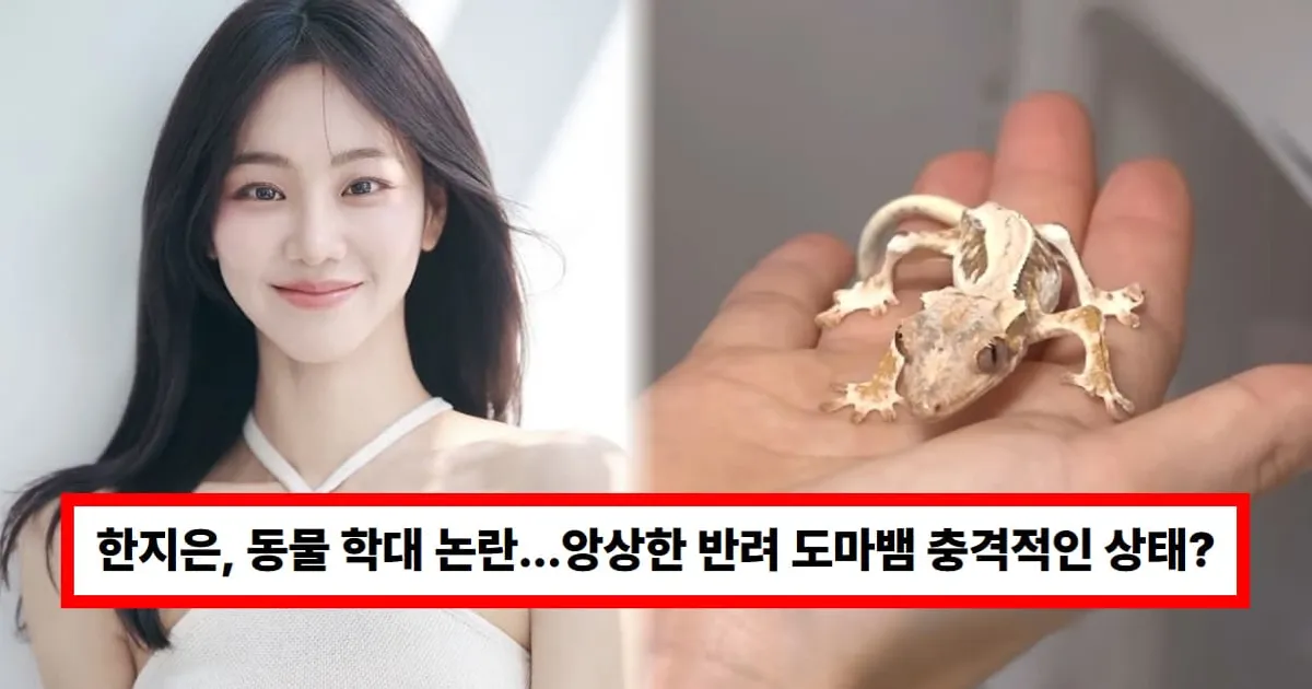 한지은, 동물 학대 논란...앙상한 반려 도마뱀 충격적인 상태? "뼈밖에 없어"(+나이)