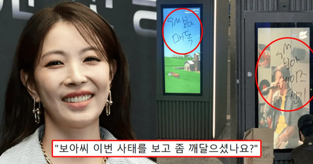 "SM 보아 에이즈 매독"...보아, '정류장·전광판·벽 등' 서울 도심 전역에 '낙서 테러' 충격