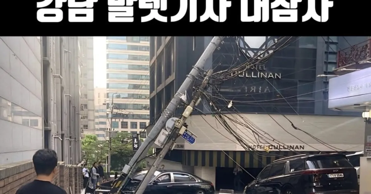 인생 조진 발렛기사		,,