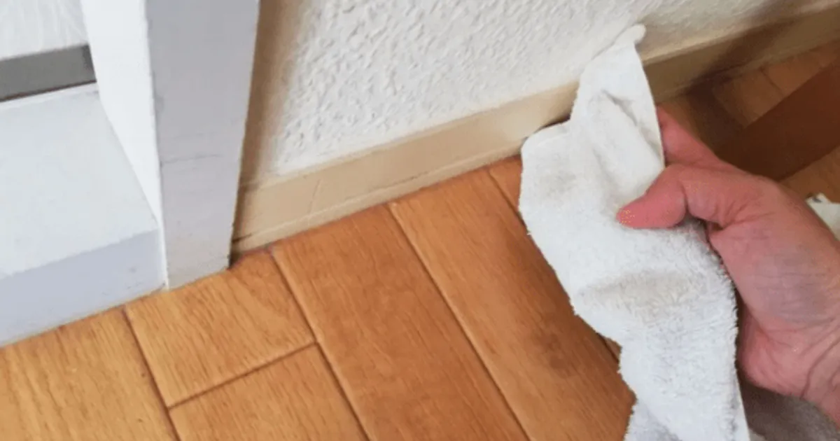 만약 집안에 "이 벌레"가 많으면 온 가족 건강이 심각하게 나빠집니다.