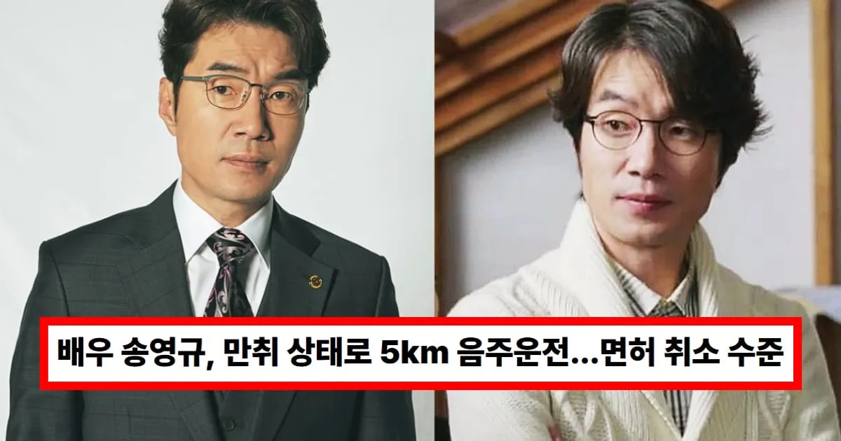 배우 송영규, 만취 상태로 5km 음주운전 적발..."한순간 잘못된 선택, 너무 죄송" (+프로필, 나이)
