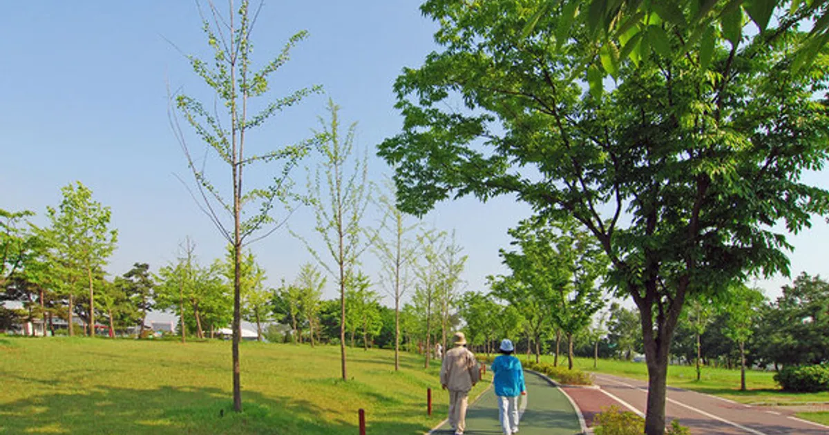 고혈압·당뇨병 환자 건강지원금, 카드없이 편하게 결제하세요