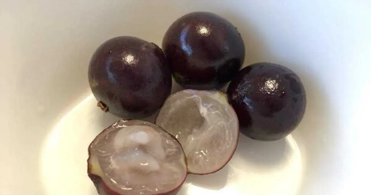 "포도"랑 똑같지만 사실은 10배 더 좋다는 '이걸'  꼭 드세요.