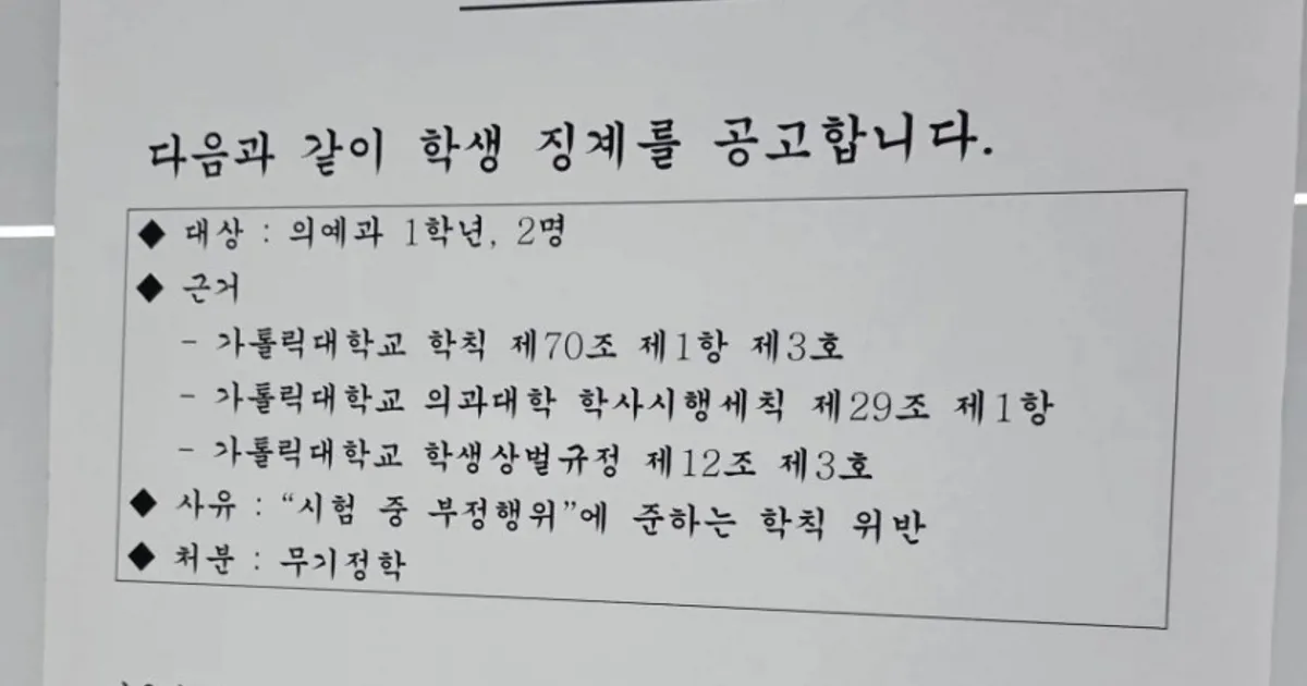 인생 완전히 꼬여버린 의예과 1학년