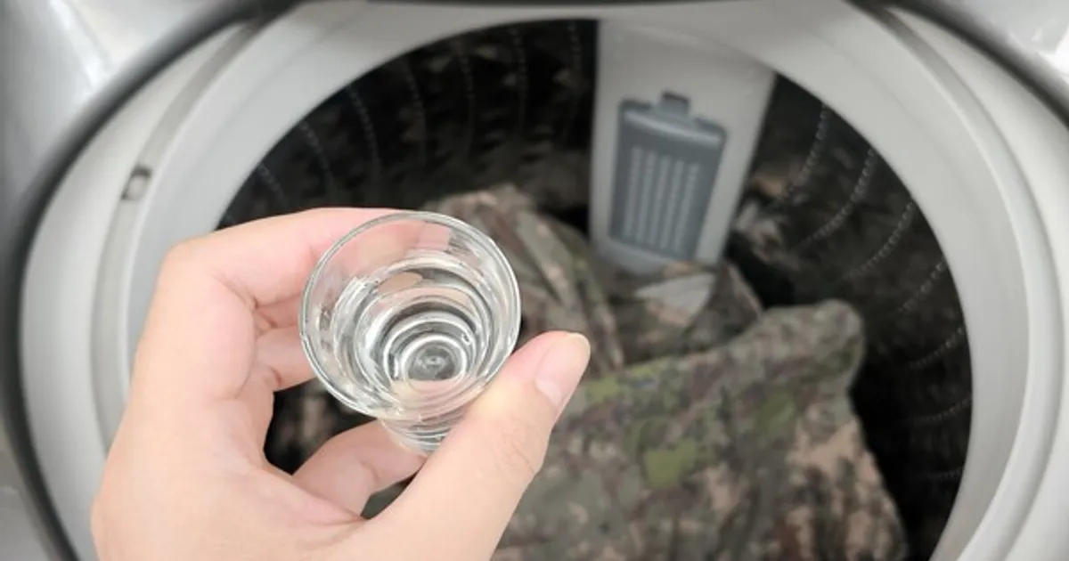 세탁기에 딱 "소주 한 잔"만 넣어보세요, 세탁소 사장님 영업 비밀입니다.