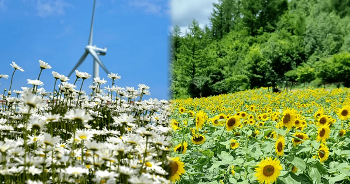 "아이들도 부모님도 좋아할 곳!"...이번 여름 가족 추억 만들기에 딱 좋은 여름 국내 힐링지 BEST 4 추천