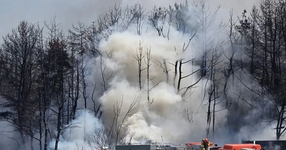 해군 초계기 포항서 추락…"탑승 4명 생존여부 확인 중"