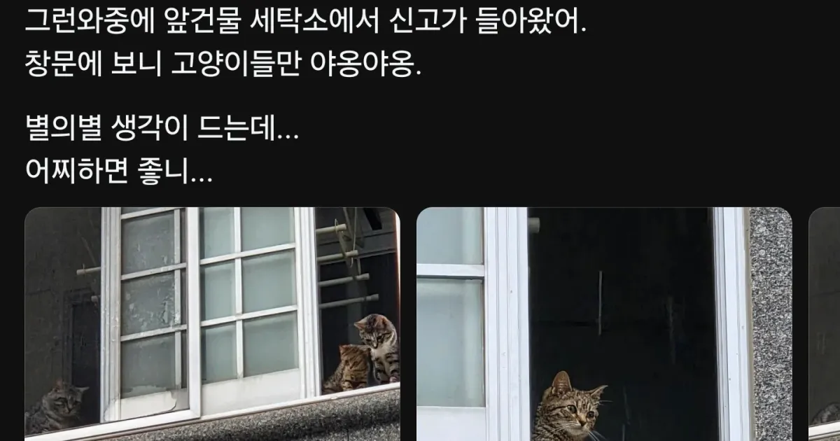 월세미납 세입자 문 까본 후기