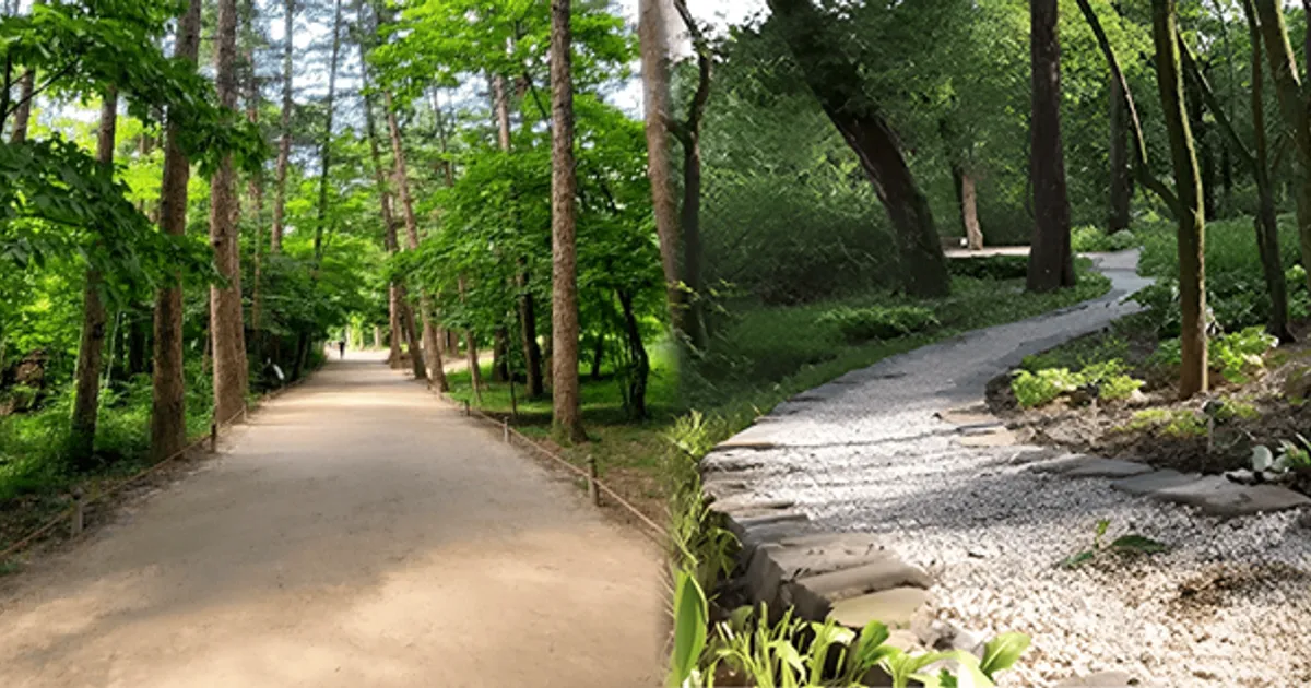 "가을을 사진으로 담아봐!"...카메라 들고 떠나기 좋은 10월 국내 여행지 BEST 4 추천