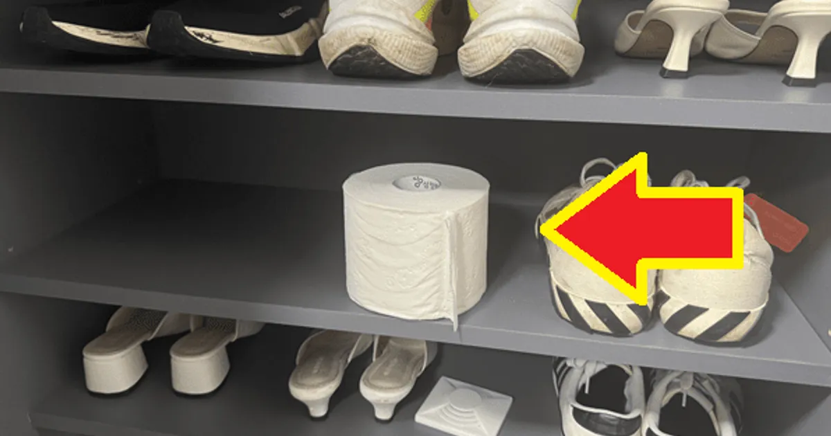 신발장에 ''이것'' 꼭 넣으세요, 신발장에서 나는 악취 전부 잡아줍니다.